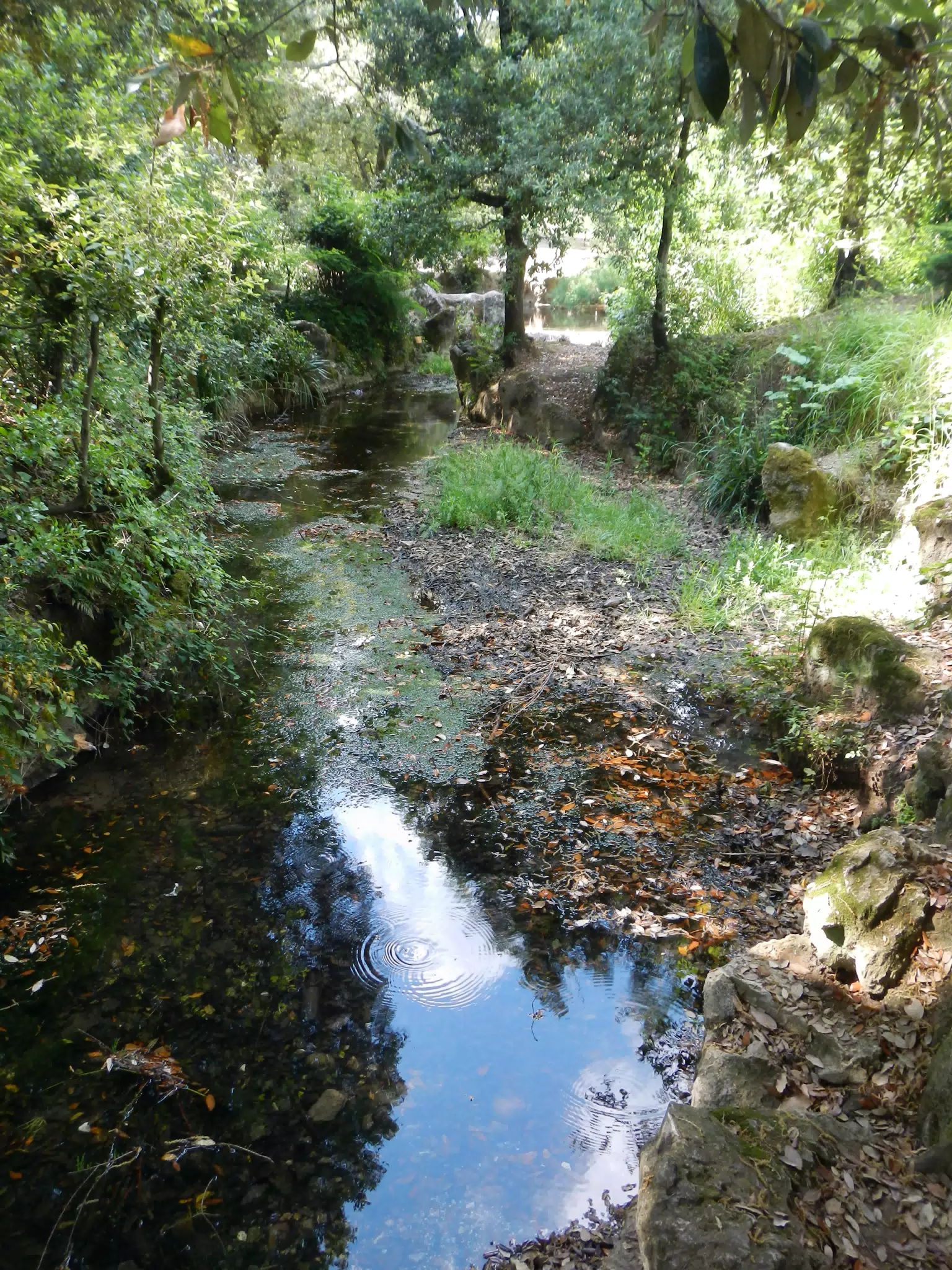 DSCN1963
