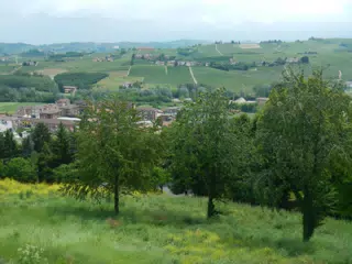 DSCN2102