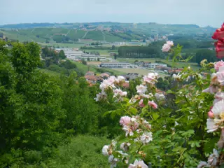 DSCN2095