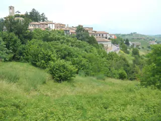 DSCN2094