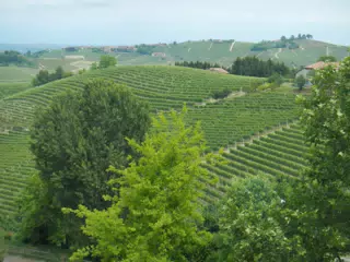 DSCN2073