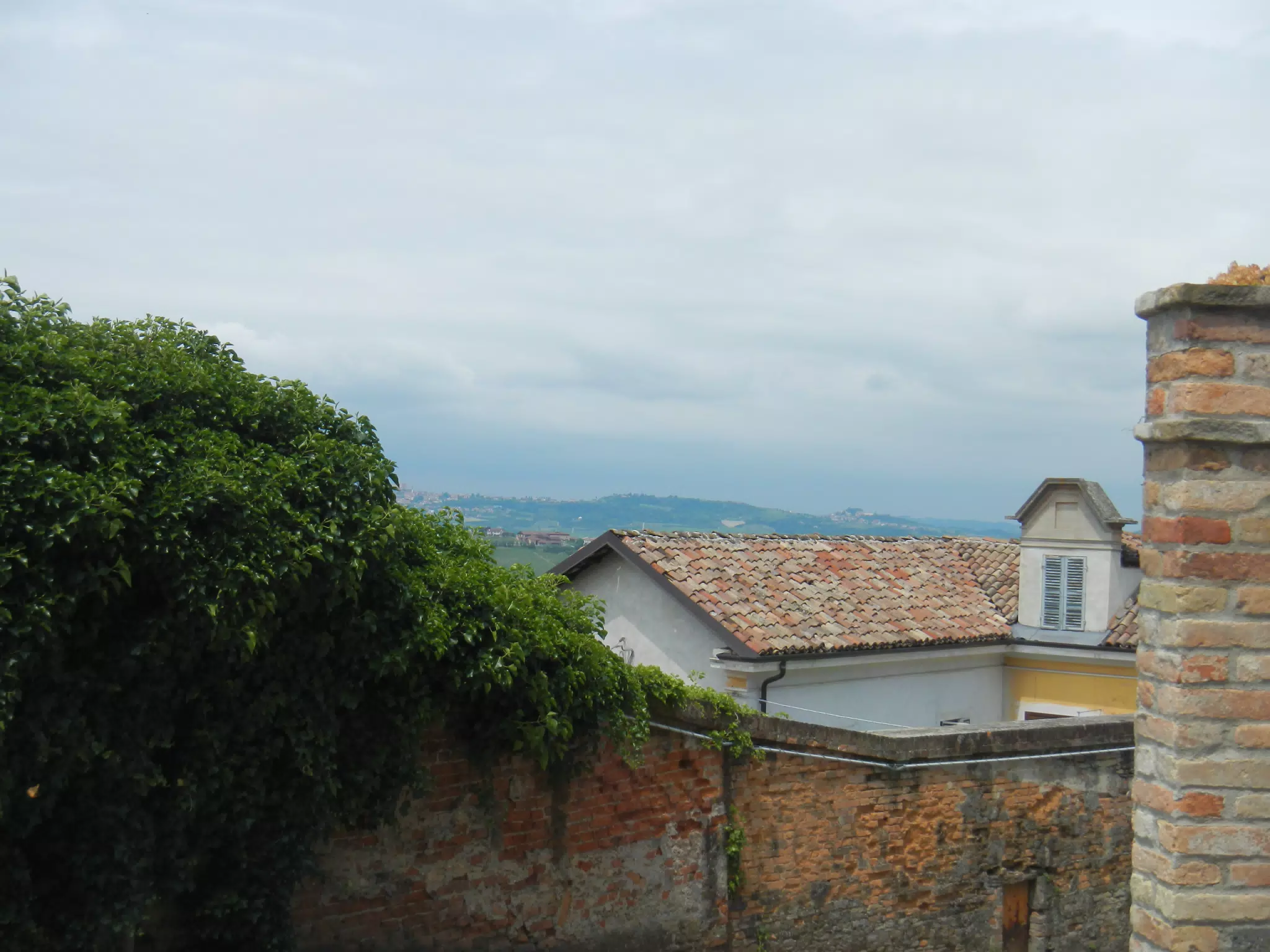 DSCN2063