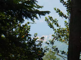 DSCN2183