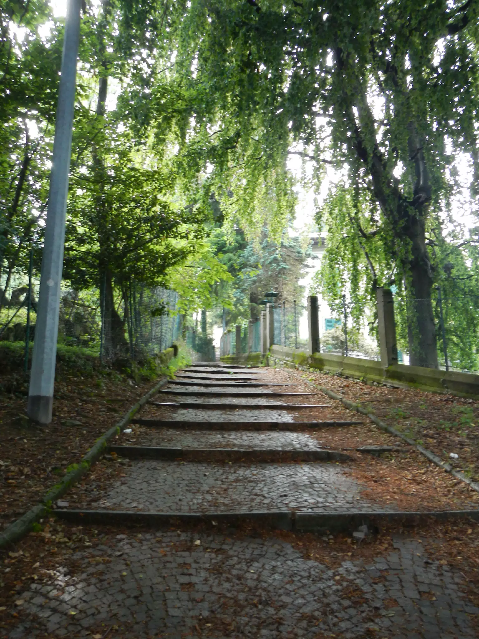 DSCN2176