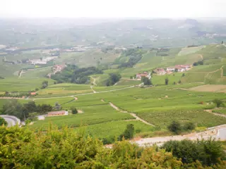 DSCN2240