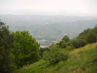 DSCN2227