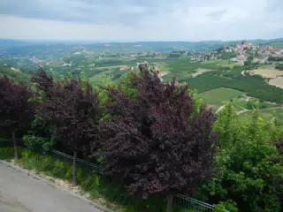 DSCN2209
