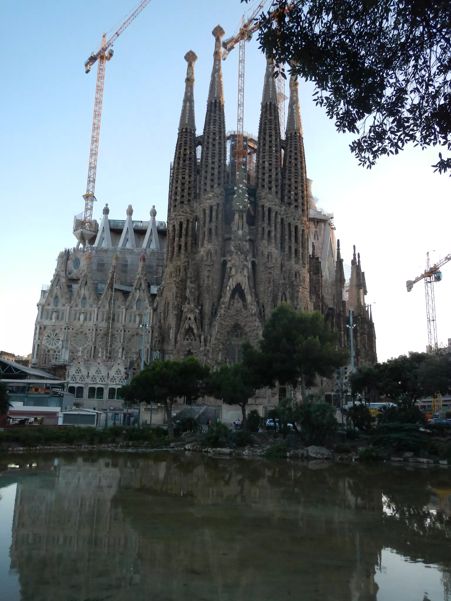 DSCN2307