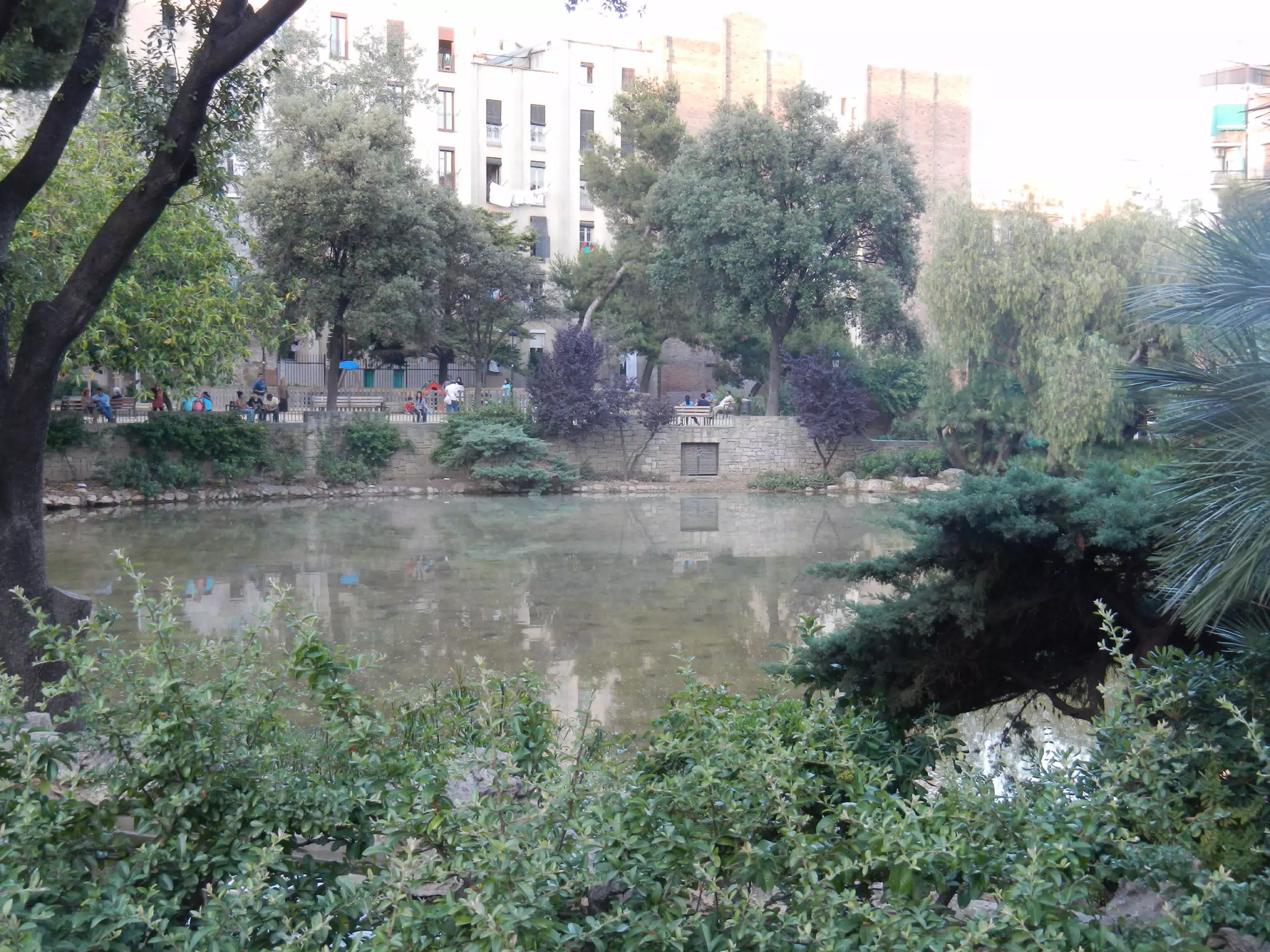 DSCN2306