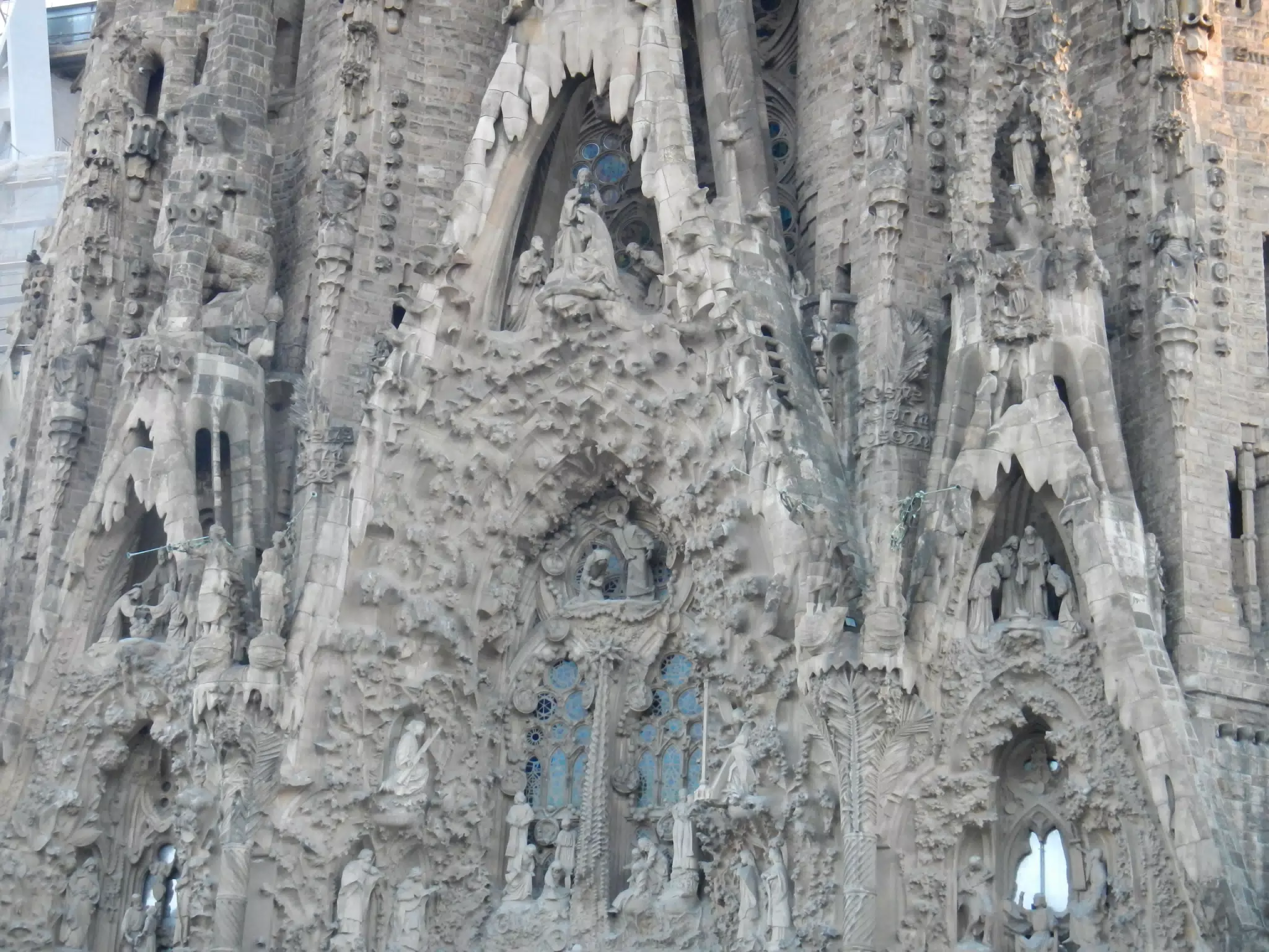 DSCN2304