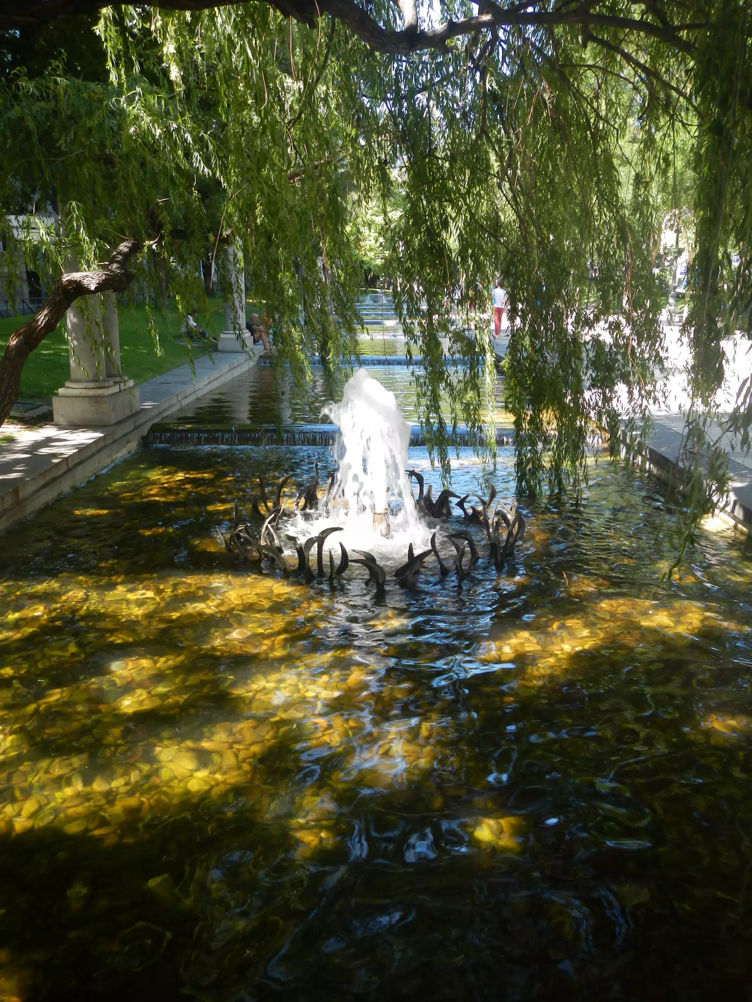 DSCN2334