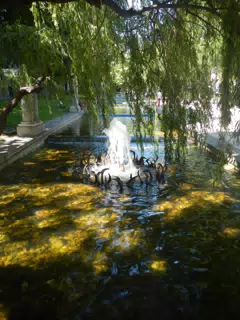 DSCN2334