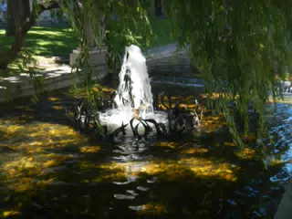 DSCN2333