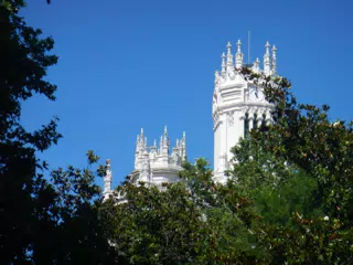 DSCN2331