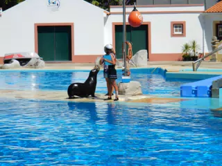 DSCN2393