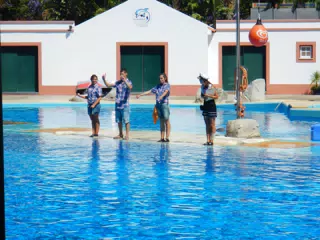 DSCN2391