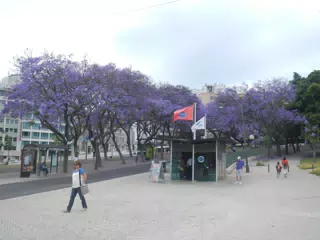 DSCN2383