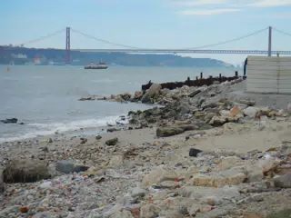 DSCN2368