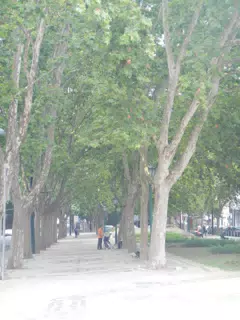 DSCN2344