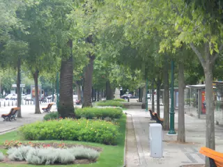 DSCN2342
