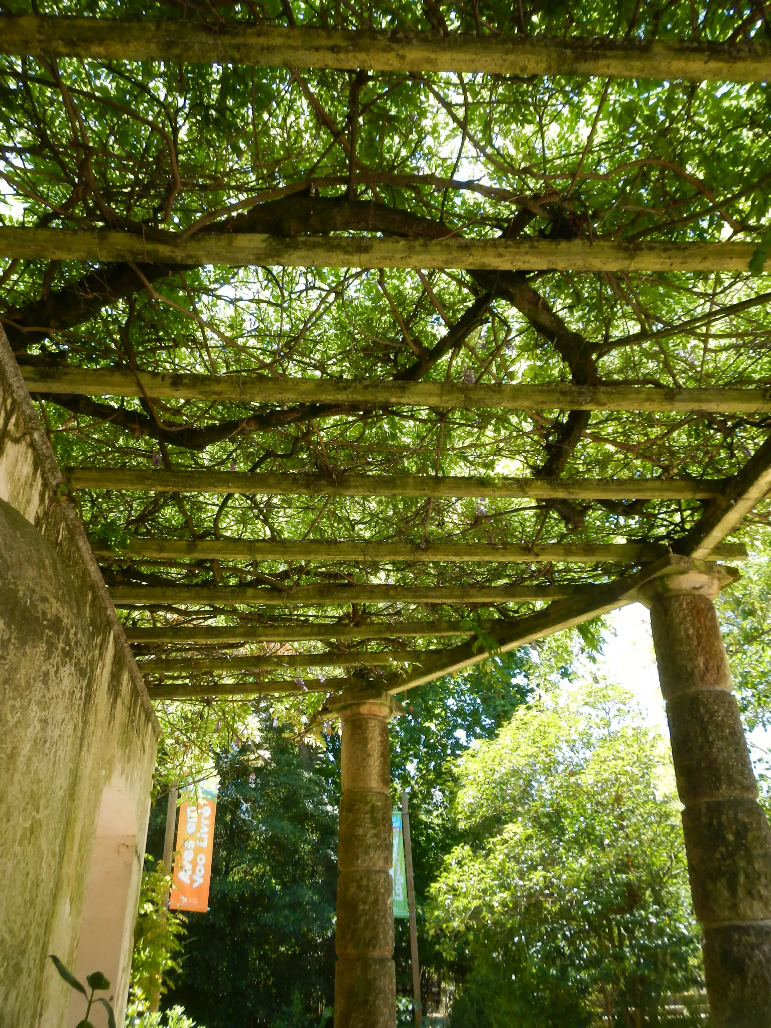 Pergola at Lisbon Zoo