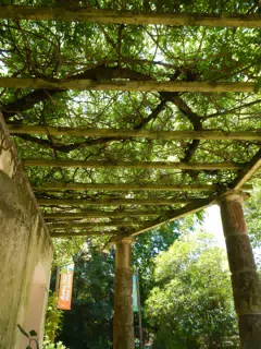 Pergola at Lisbon Zoo