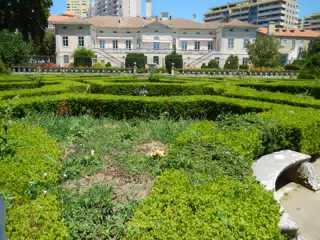 DSCN2495