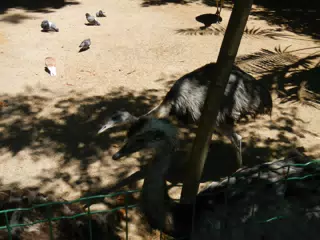 DSCN2486