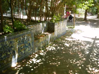 DSCN2482