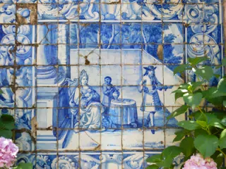 DSCN2477