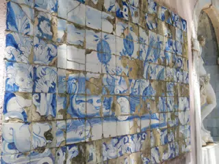 DSCN2476