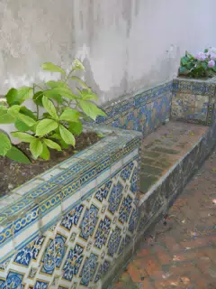 DSCN2472