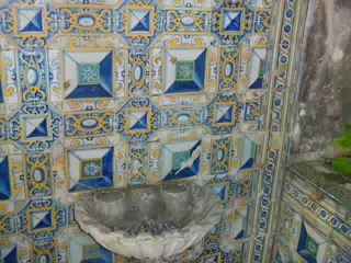 DSCN2471