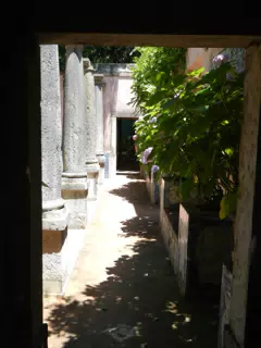 DSCN2470