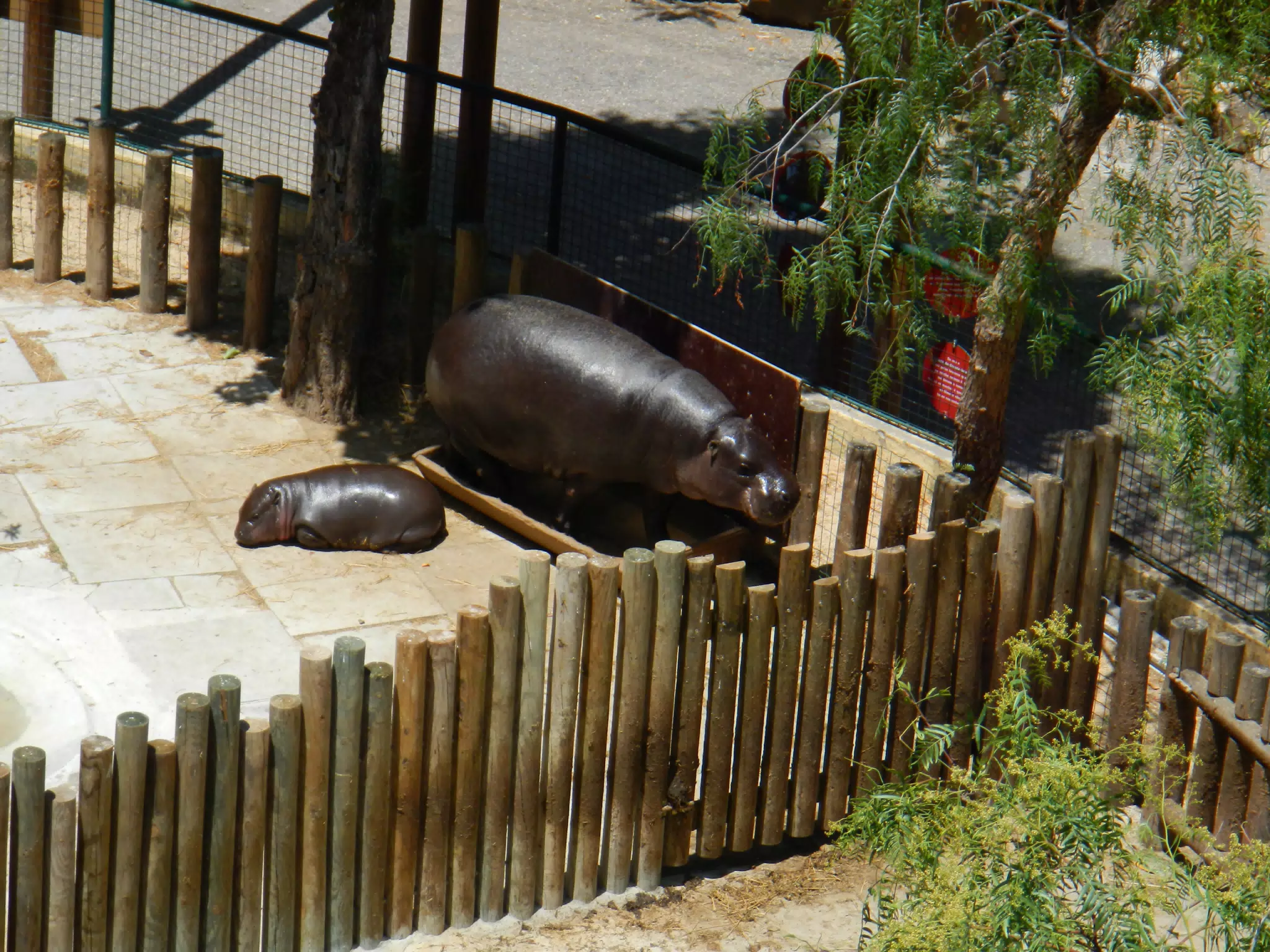 DSCN2456