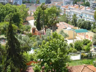 DSCN2445