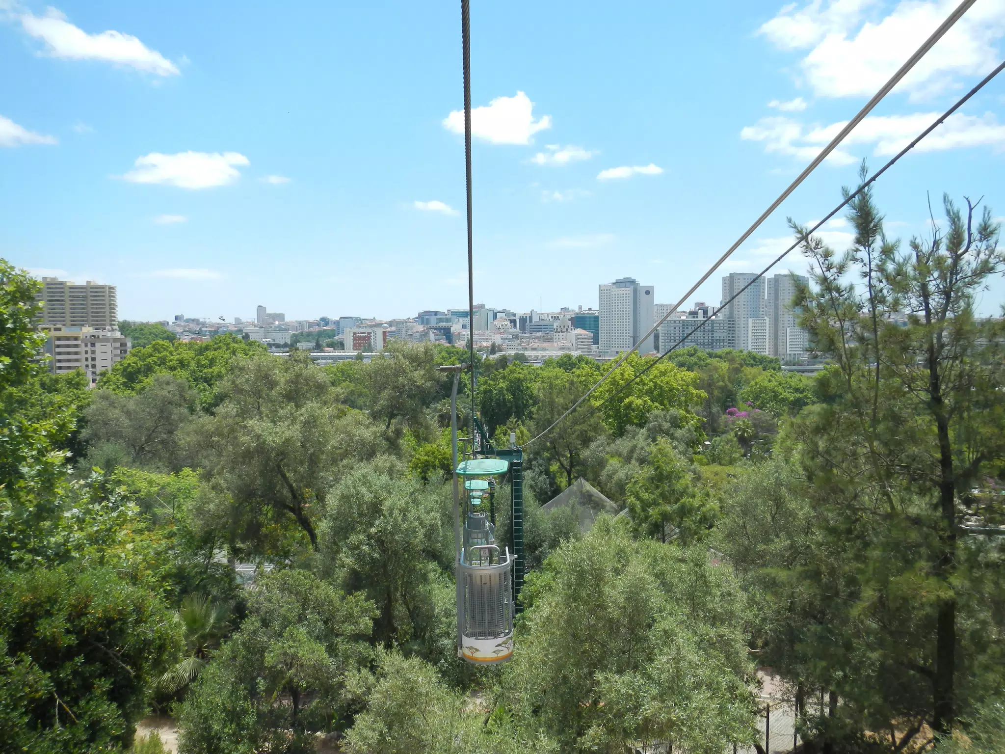 DSCN2440