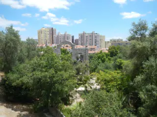 DSCN2438