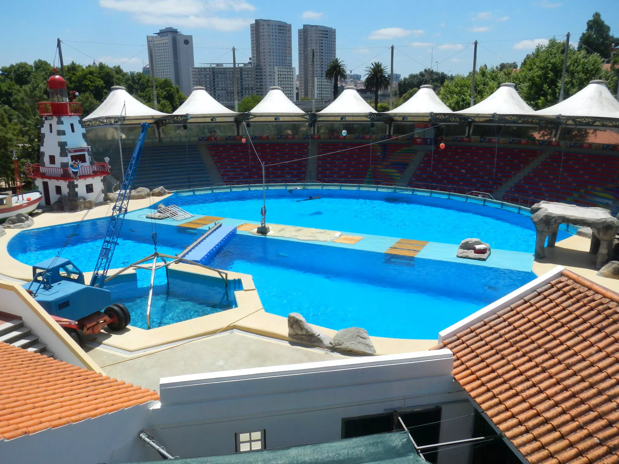 Dolphin Pool at the Lisbon Zoo