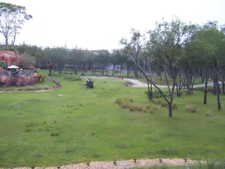 Central Savanna of the Animal Kingdom Lodge