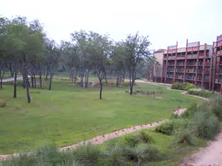 Savanna of Disney's Animal Kingdom Lodge