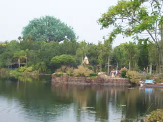Disney's Animal Kingdom