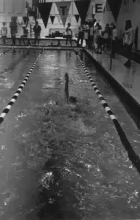 York High School Swim Team Section V Sectionals 1993