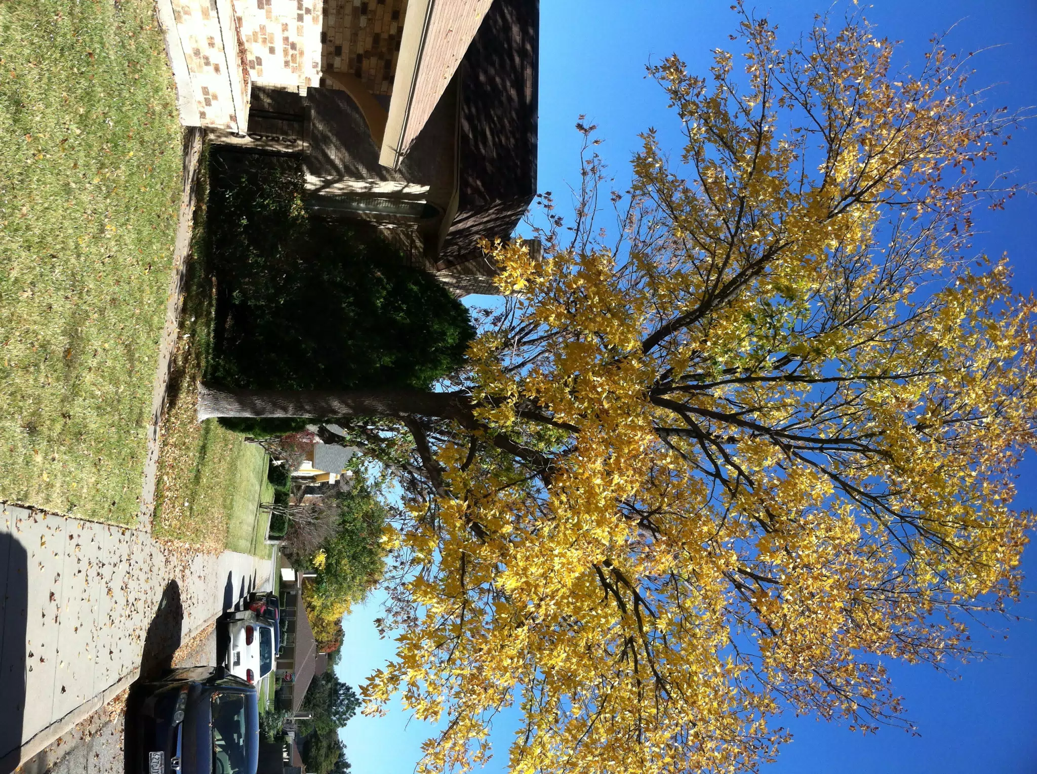 Beautiful Fall Day in Texas