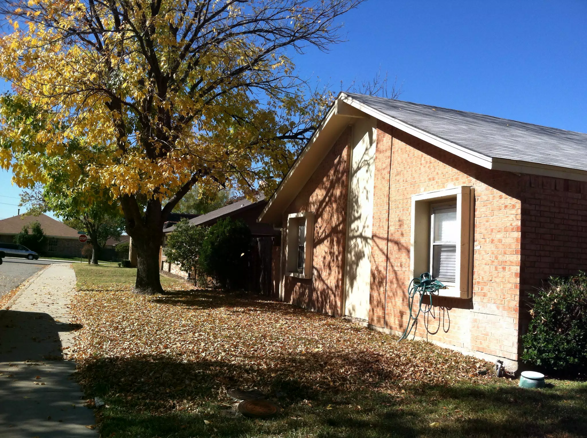 Beautiful Fall Day in Texas