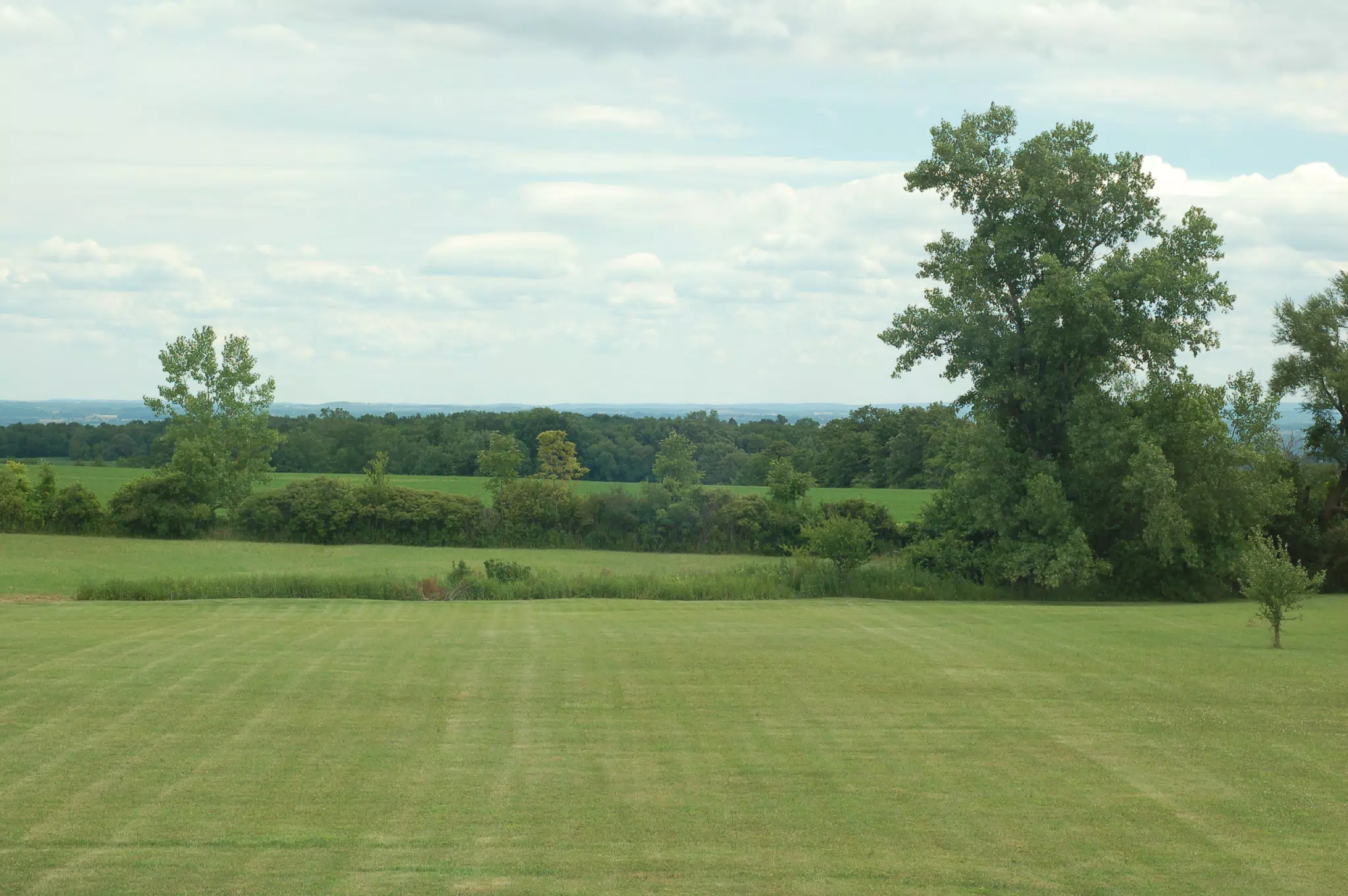 View East from Dad's Farm