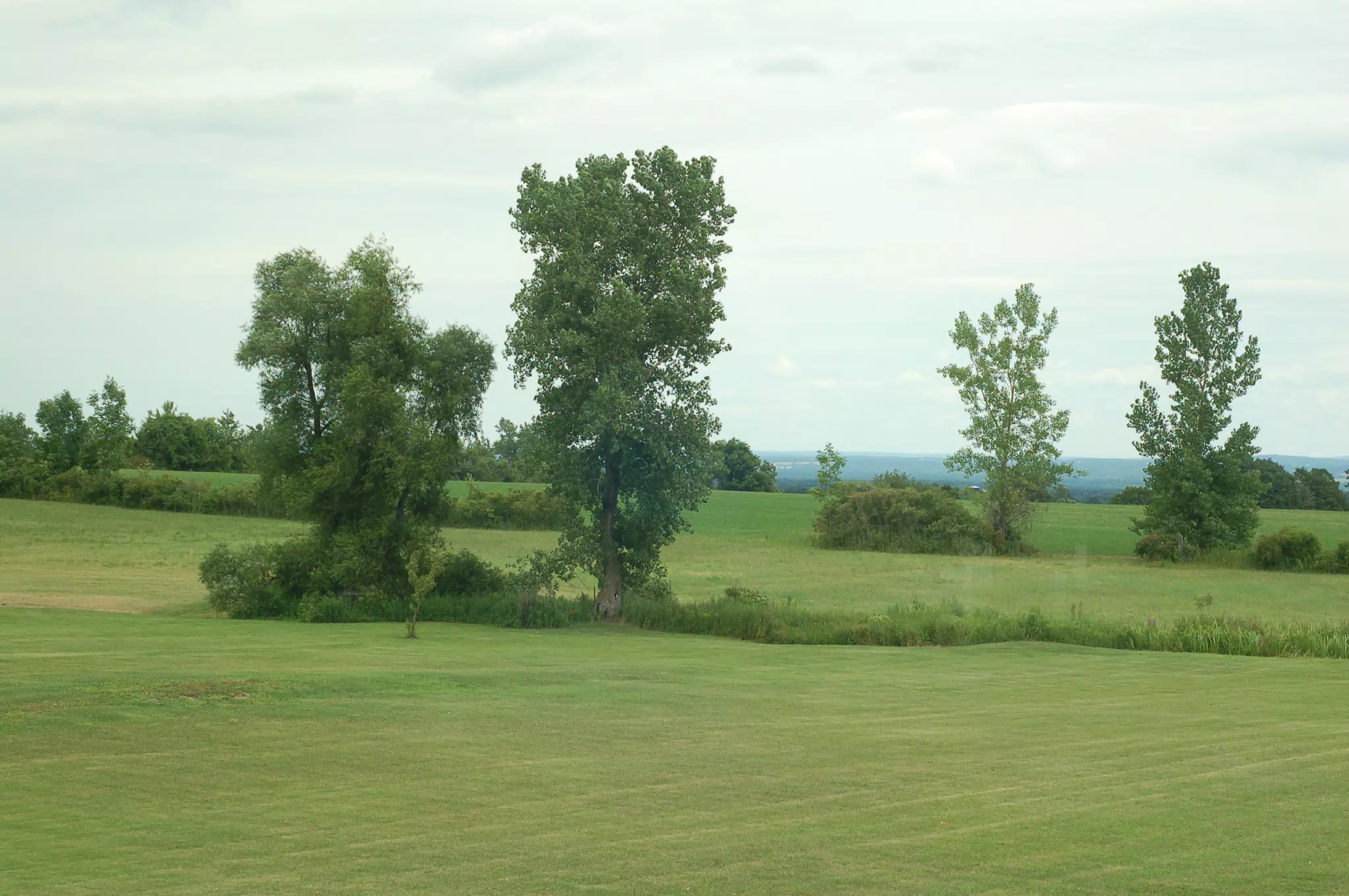 View Northeast from Dad's Farm