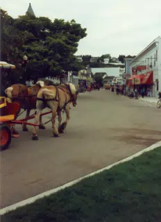 Mackinac Island, Michigan