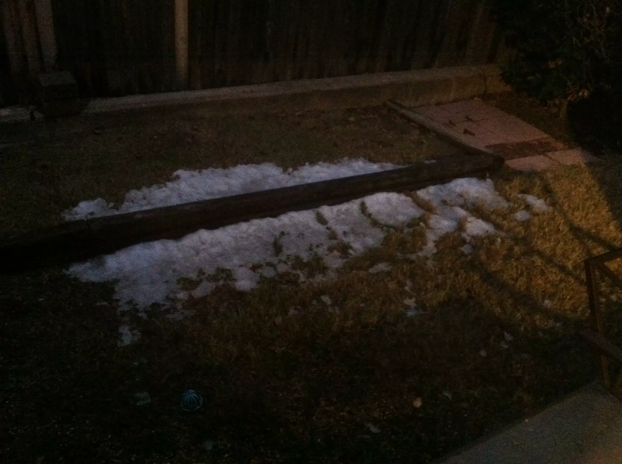 Snow in the Backyard