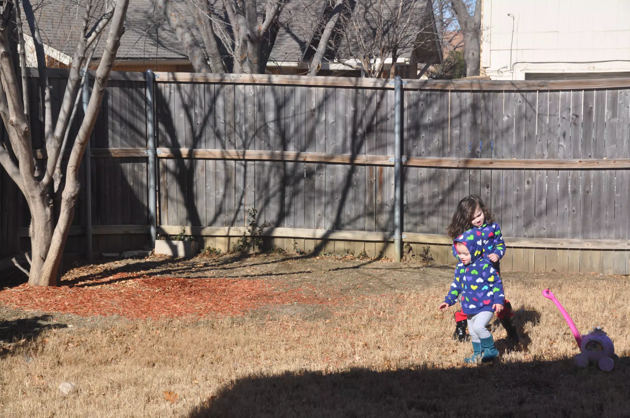 The Girls in the Yard